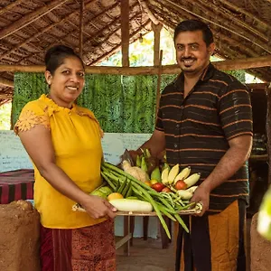 https://sigiri-aliya-tree-house.kandyhotelsnow.com